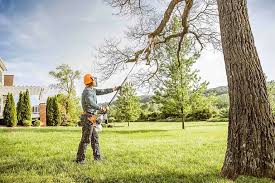 Best Tree Trimming and Pruning  in Valley Stream, NY